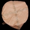 ブラウンCement Scalpings Ton Bag Aggregate Polypropylene 1000kg